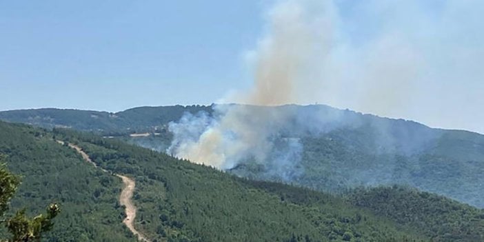 Biga'da orman yangını