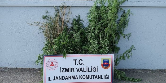 İzmir'de  jandarma ekiplerinin düzenlediği uyuşturucu operasyonlarında 27 şüpheli tutuklandı