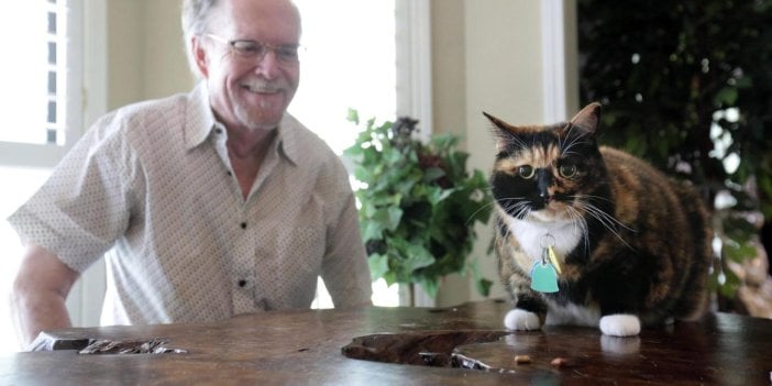 9 kilo kedi hırsızlığı önledi