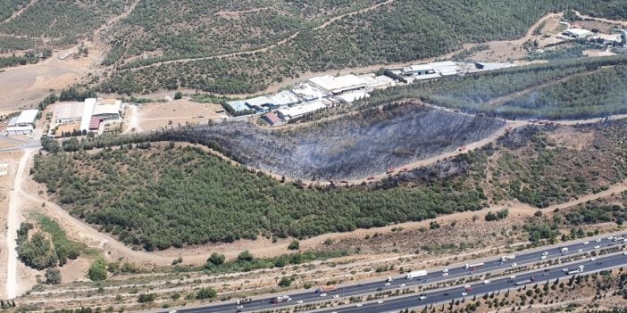 İzmir Buca'da orman yangını