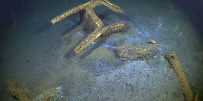 Marmara Depremi'nde Gölcük'te oluşan batık şehir görüntülendi