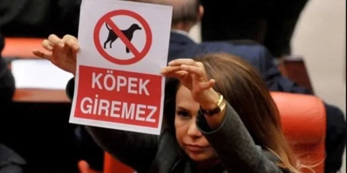 Meclis'te 'köpek giremez' afişi göstermişti: Süleyman Soylu'nun danışmanı oldu