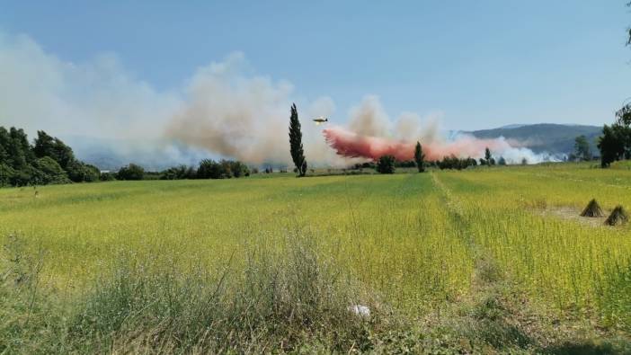 Muğla’da tarım arazinde yangın çıktı (17 Ağustos 2022)