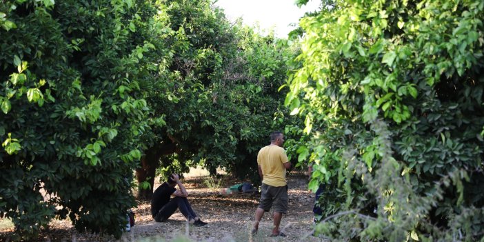 Ailesine ölüme gidiyorum diyen gencin cesedi bulundu