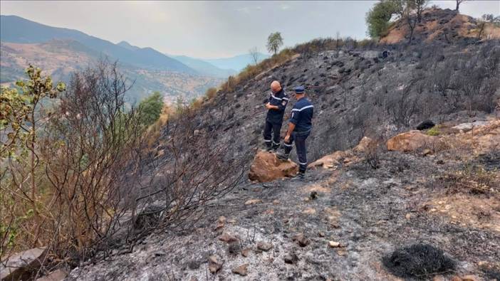 Orman yangınlarında 26 kişi hayatını kaybetti (18 Ağustos 2022)