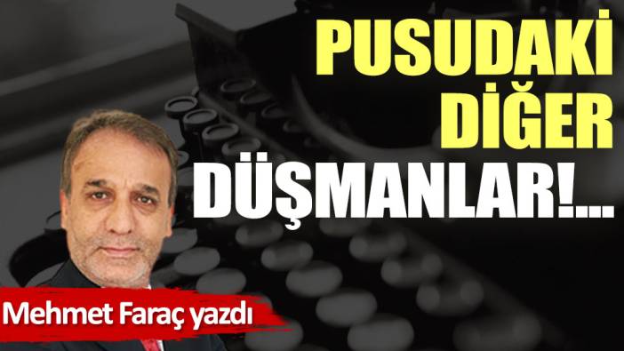 Pusudaki diğer düşmanlar!...