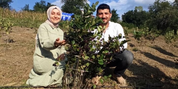 Süper meyve damarları açıyor kanseri bitiriyor