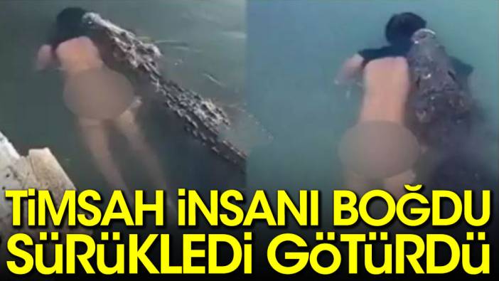 Timsah insanı boğdu, sürükledi, götürdü