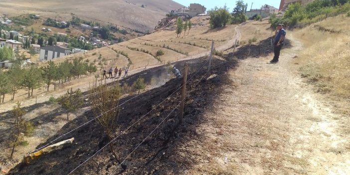 Bayburt'ta 10 dekarlık alan alev alev yandı