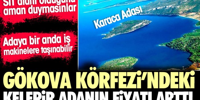 Gökova Körfezi'ndeki Karaca Adası'nın fiyatı arttı. SİT alanı olduğunu ama duymasınlar çünkü bu alanlara ilgi çok oluyor