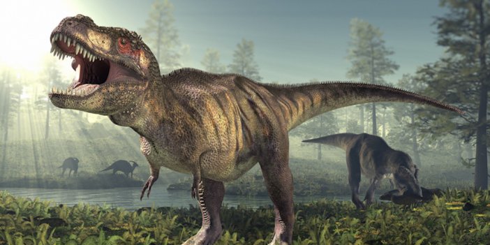 113 yıllık dinozor türünün ayak izi bulundu