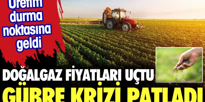 Doğalgaz fiyatları uçtu, gübre krizi patladı. Üretim durma noktasına geldi