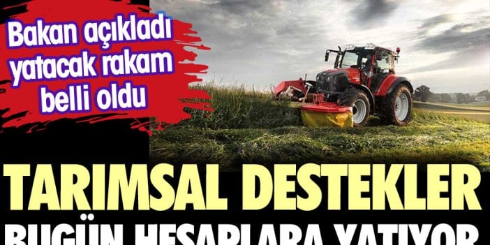 Bakan açıkladı yatacak rakam belli oldu. Tarımsal destekler bugün hesaplara yatıyor