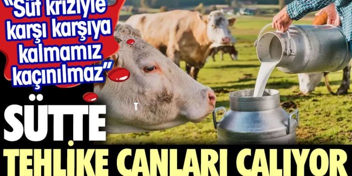 Sütte tehlike çanları çalıyor. Süt kriziyle karşı karşıya kalmamız kaçınılmaz