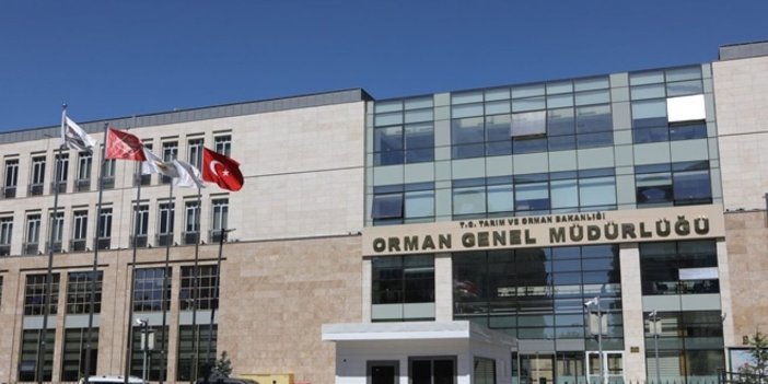 Orman Genel Müdürlüğü 338 personel alacak