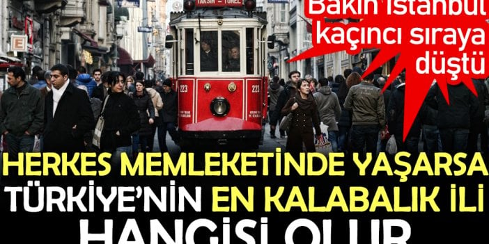 Herkes memleketinde yaşarsa Türkiye’nin en kalabalık ili hangisi olur: İstanbul bakın kaçıncı sıraya düştü