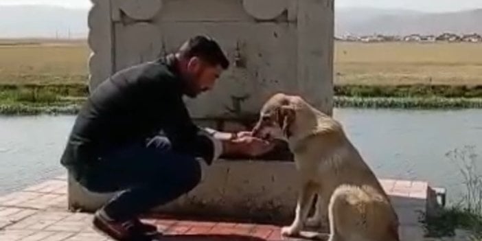 Sıcaktan bunalan köpeğe elleriyle su verdi