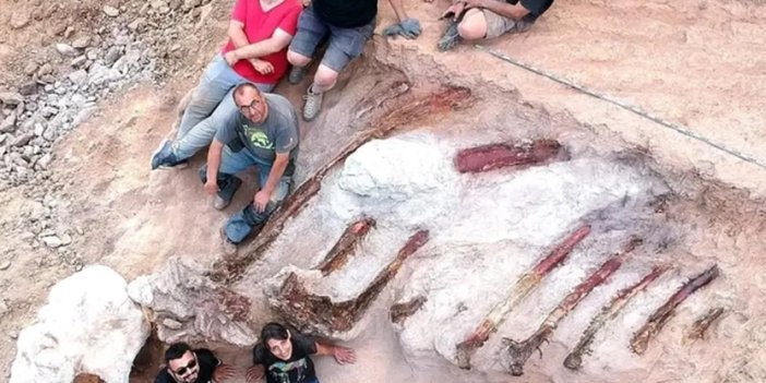 25 metrelik dev dinozor fosili inşaat sırasında bulundu