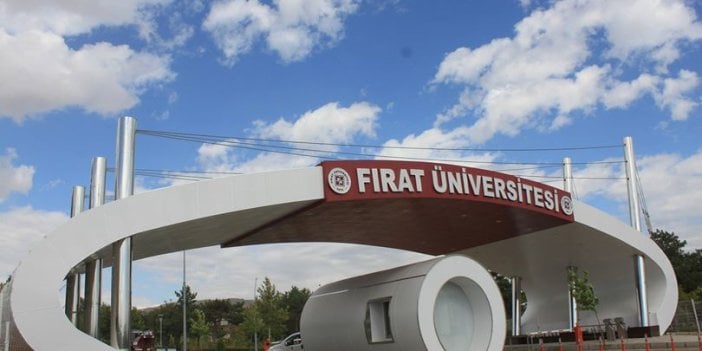 Fırat Üniversitesi 17 öğretim üyesi alacak