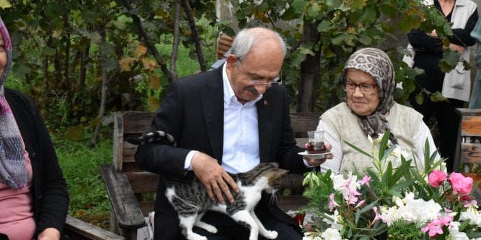 Giresunlu kedi Kılıçdaroğlu’nun davetini kabul etti