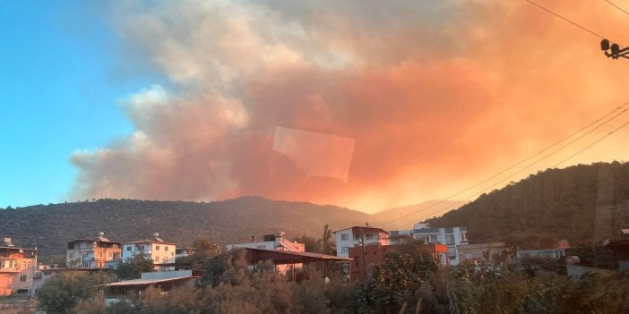 Mersin Akkuyu Nükleer Santrali'nin olduğu bölgede yangın. Alevler yerleşim yerlerine ve Akkuyu bölgesine yaklaştı