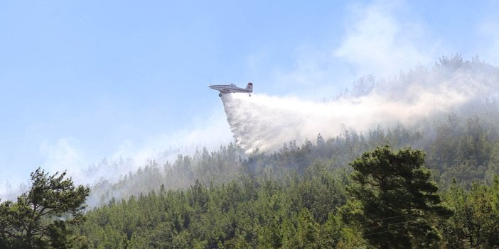 Alanya'daki orman yangını kontrol altında