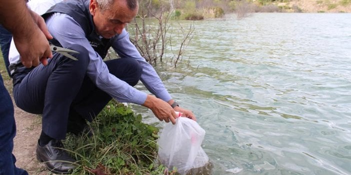 Karabük’te 20 bin sazan balığı yavrusu göle bırakıldı