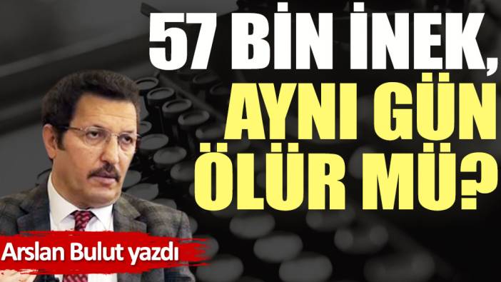 57 bin inek, aynı gün ölür mü?