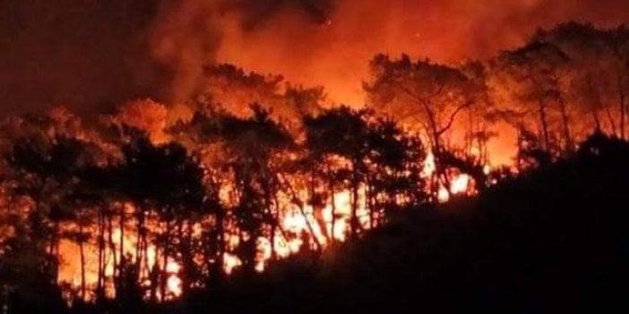 Muğla'da orman yangını: Yerleşim bölgeleri tehdit altında