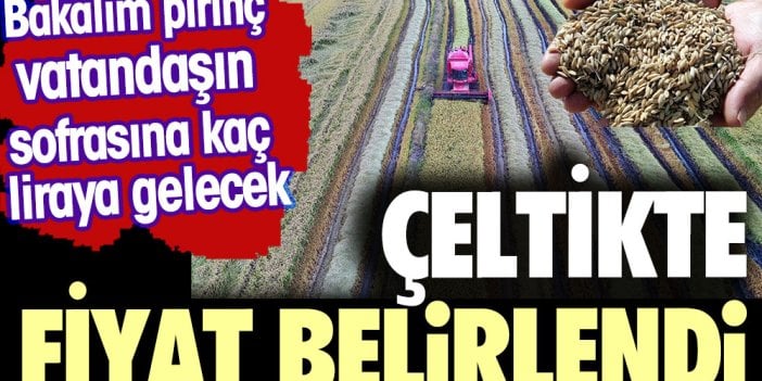 TMO fiyatları açıkladı. Çeltikte fiyat belirlendi. Bakalım vatandaşın sofrasına pirinç kaç liraya gelecek