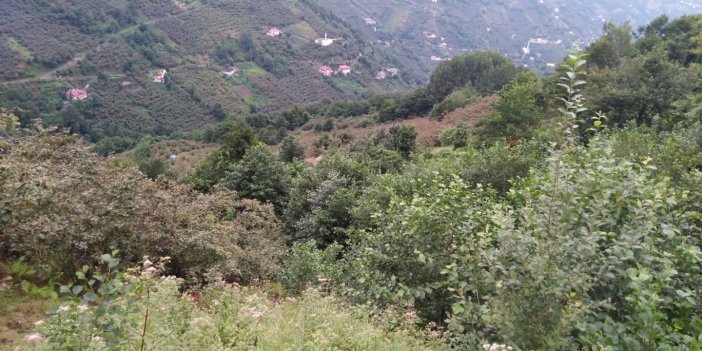 Trabzon Akçaabat’ta icradan satılık arsa