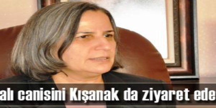 İmralı canisini Kışanak da ziyaret edecek