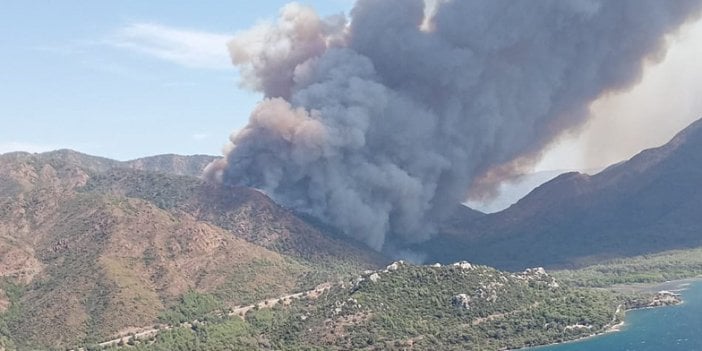 Marmaris'te orman yangını: Rüzgarla birlikte dakikalar içinde yayıldı