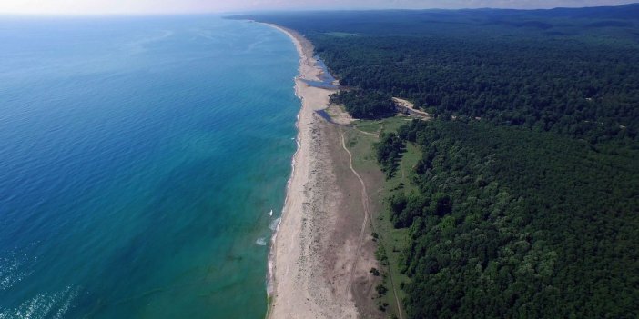 Ormanlar yanarken alınan karara bak. Tüm orman ve kıyılar imar dahi istenmeden turizme açılacak