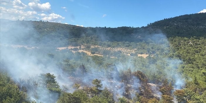 Bergama'daki orman yangını kontrol altına alındı