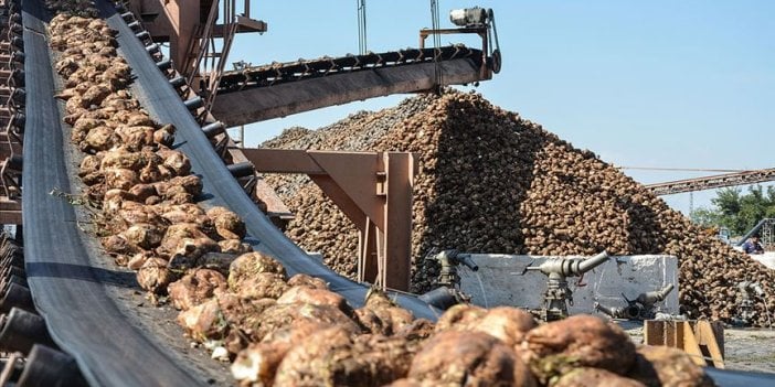 Pancar alım fiyatları açıklandı. Çiftçi yine hüsrana uğradı