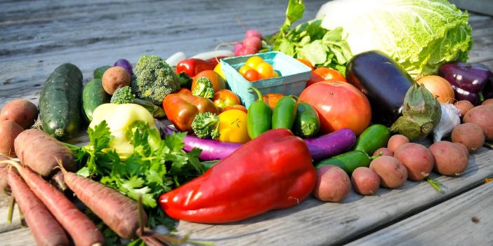 Sultanbeyli Belediyesi gıda ürünleri satın alacak