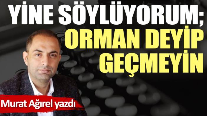 Yine söylüyorum; orman deyip geçmeyin