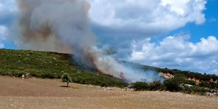 Çanakkale'de orman yangını