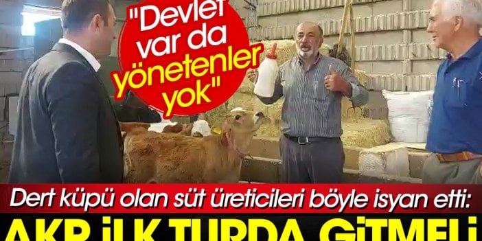 Dert küpü olan süt üreticileri böyle isyan etti: AKP ilk turda gitmeli