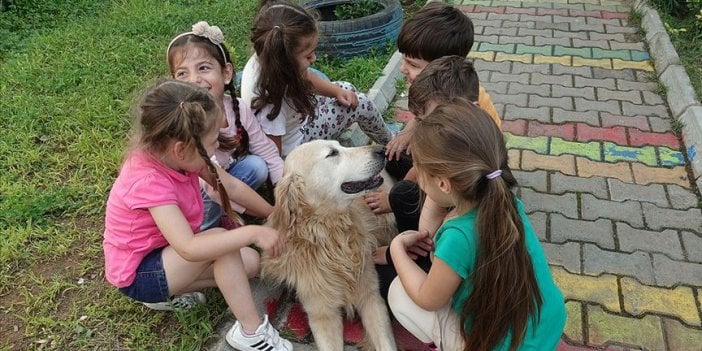 Çocuklarınızı hayvan sevgiyle büyütün. İleride mucizevi faydasını görün