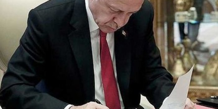 Kızılırmak’ın kıyısında 3.5 milyon metrekare alan orman olmaktan çıkarıldı. Erdoğan imzaladı. Tamamen ağaçlarla kaplı arazinin yanındaki maden sahası var