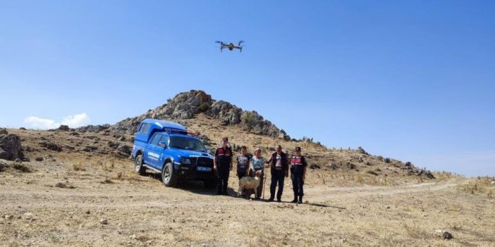 Kaybolan koyunlar drone yardımıyla bulundu