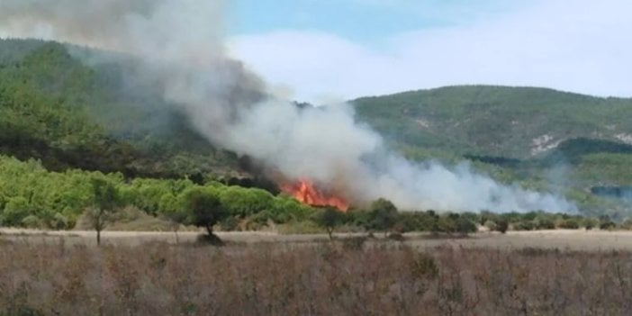 Çanakkale'de orman yangını çıktı. Havadan ve karadan müdahale ediliyor