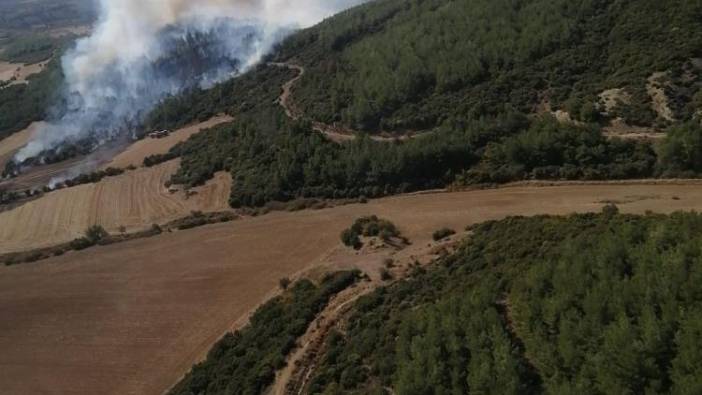 Çanakkale'deki orman yangını kontrol altına alındı (06 Ekim 2022)