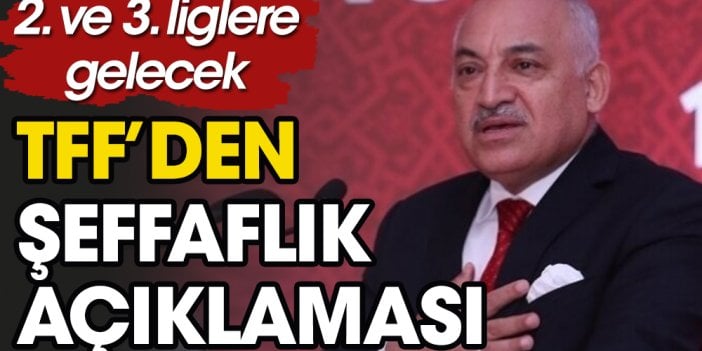 Federasyon açıkladı. Artık 2 ve 3. ligler de şeffaf olacak