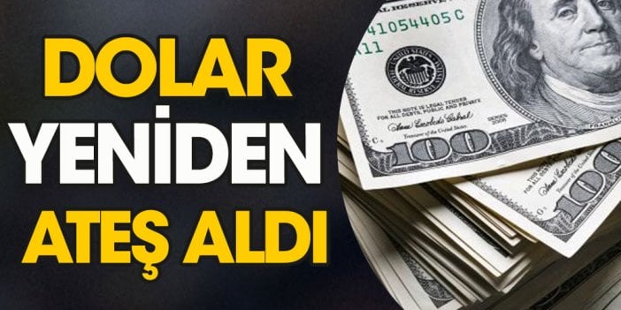 Dolar yeniden ateş aldı