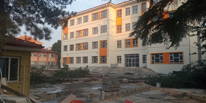 Tokat Turhal’da müdürün talimatıyla okul bahçesinde ağaç katliamı