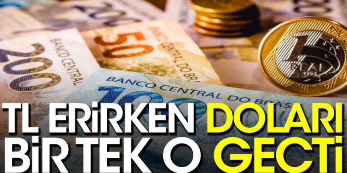 TL erirken doları bir tek o geçti