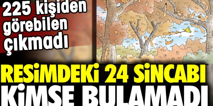 Resimdeki 24 sincabı kimse bulamadı. 225 kişiden görebilen çıkmadı